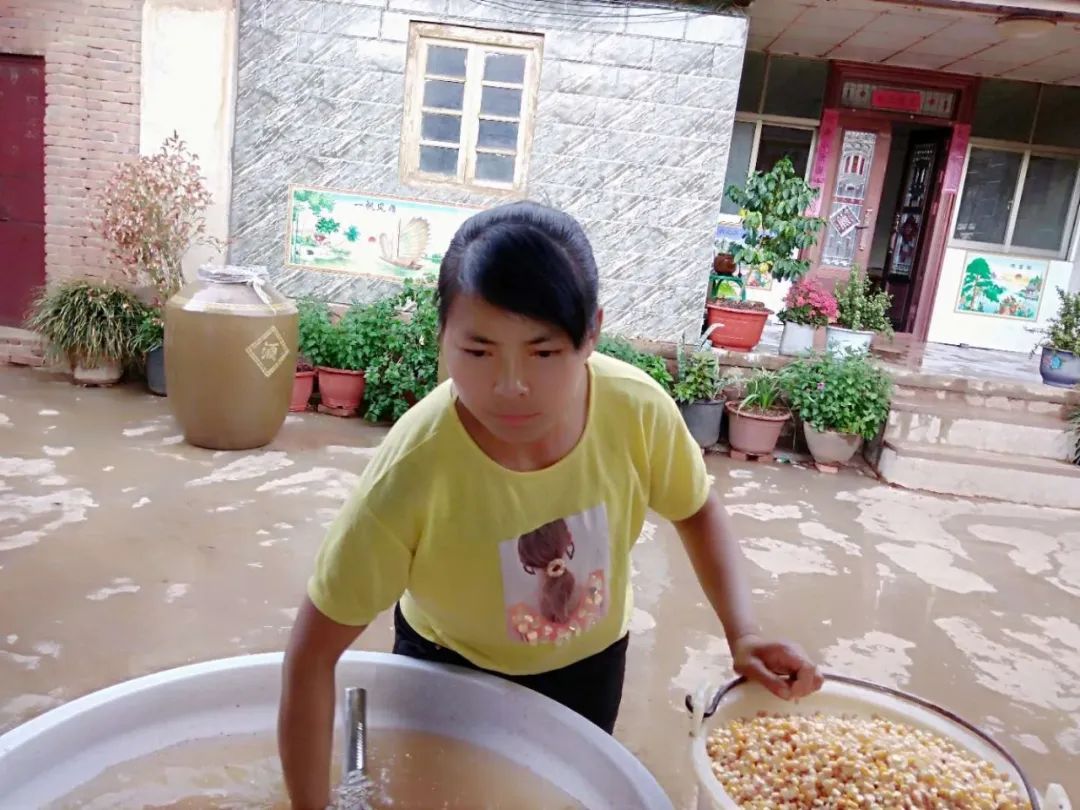 酿酒养猪致富经_酿酒养殖致富_酿酒致富经