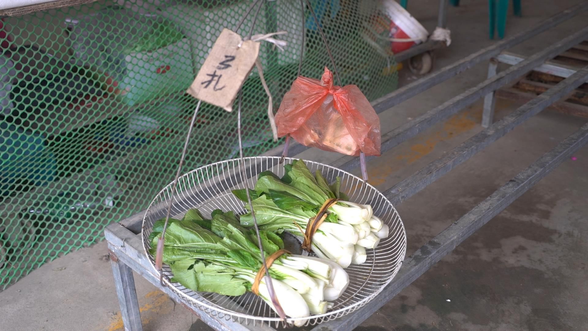 芋种植技术_芋苗种植致富_芋儿种植