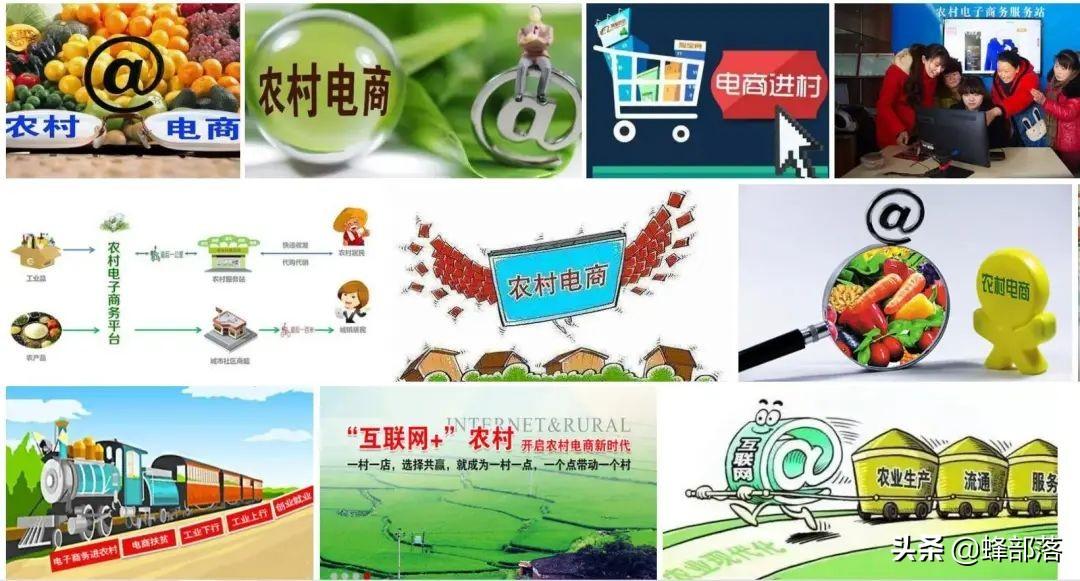 农村养殖致富好项目_农村致富项目养殖业_致富养殖农村好项目有哪些