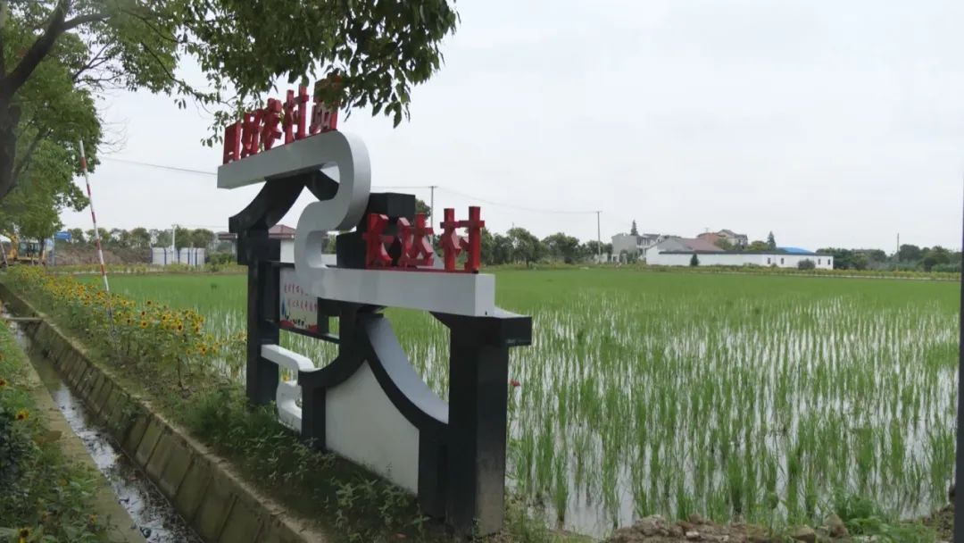 乌鸡养殖致富项目_致富养殖乌鸡项目介绍_养殖乌鸡的销路