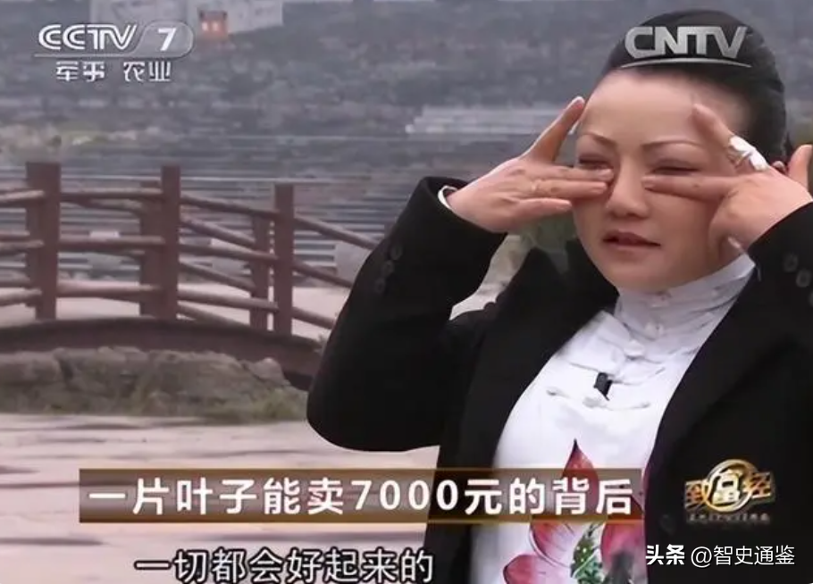 视频致富手工刺绣cctv7_刺绣致富_致富经cctv7视频手工刺绣