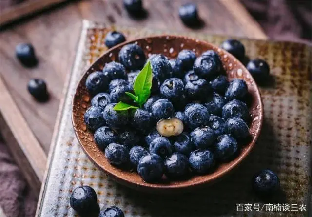 致富种植创业项目_种植啥能致富_致富种植场