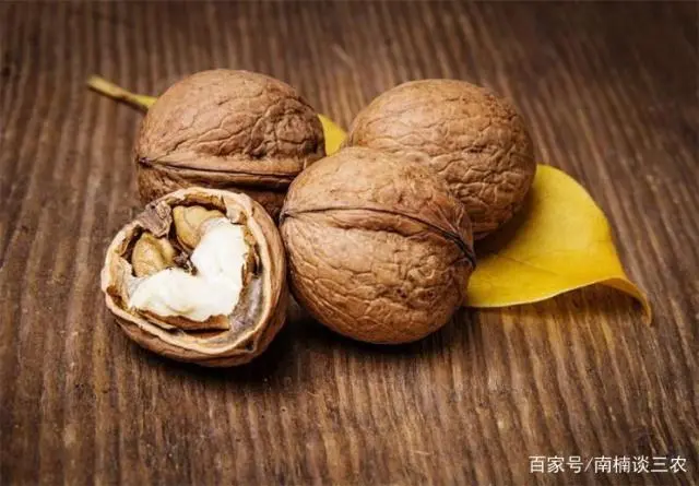 致富种植创业项目_致富种植场_种植啥能致富