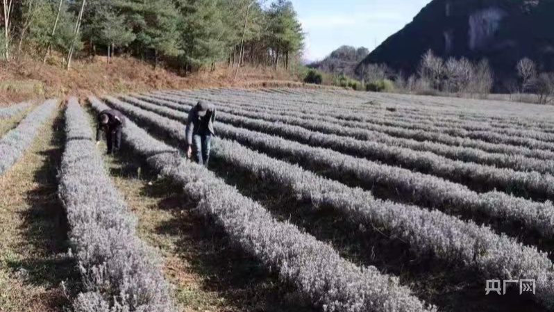 致富养殖业_赫章养殖业补助政策_赫章养殖致富项目
