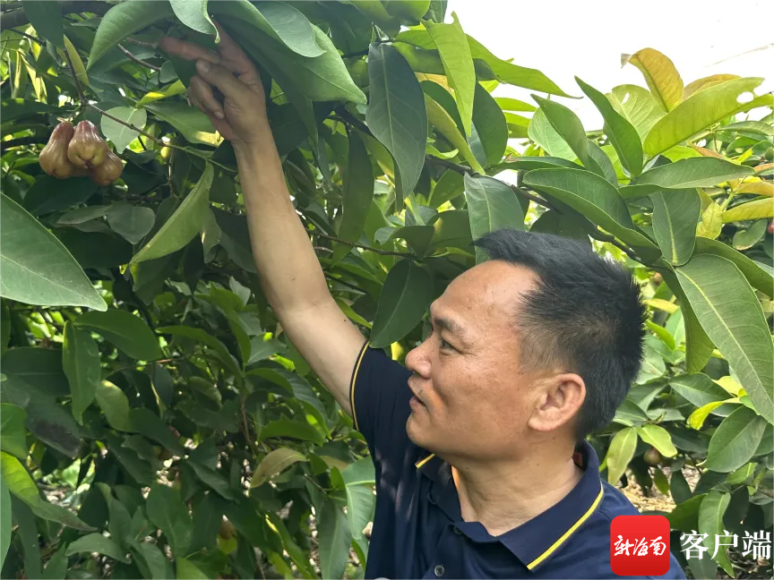 致富例子_种植致富事例_种植致富故事