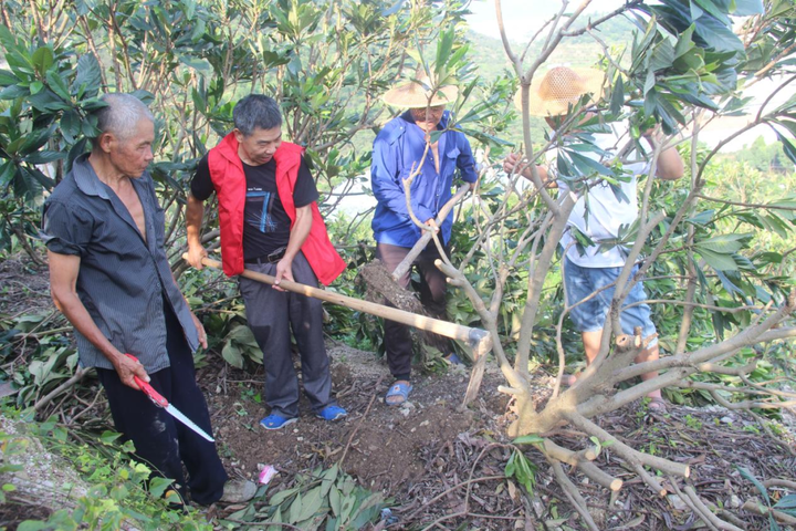 致富故事成功案例_种植致富故事_种植致富事例