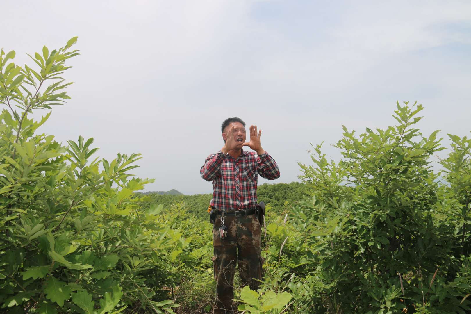 致富经柞蚕养殖视频_柞蚕养殖致富视频_视频致富养殖柞蚕是真的吗