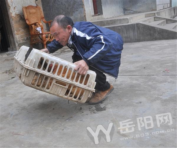致富经邓勇_致富经四川_致富经邓炽强