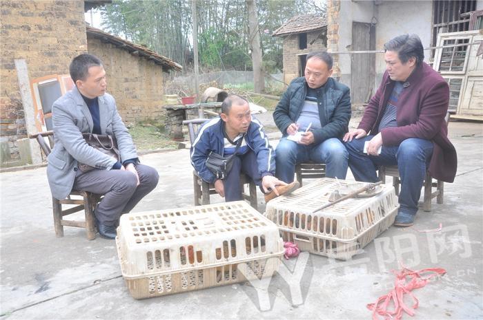 致富经四川_致富经邓炽强_致富经邓勇