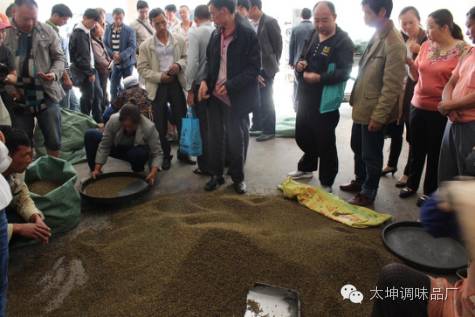 致富花椒种植技术视频_致富经种植花椒_花椒种植效益