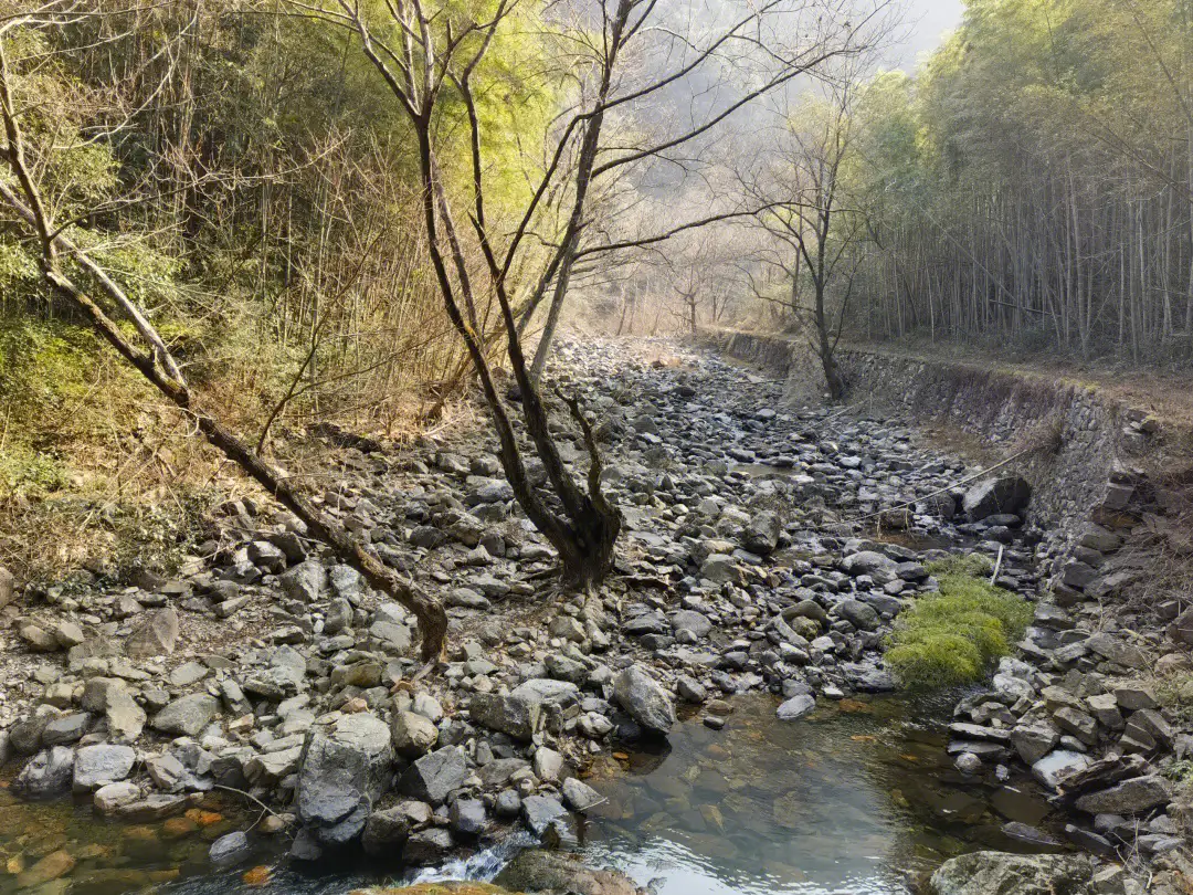 水果怎么种植致富_致富水果种植方法_水果种植赚钱吗