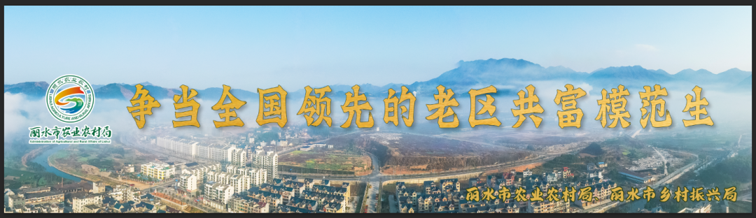 遂昌县湖山乡红星坪村：搭乘“生态快车”奔上“致富路”