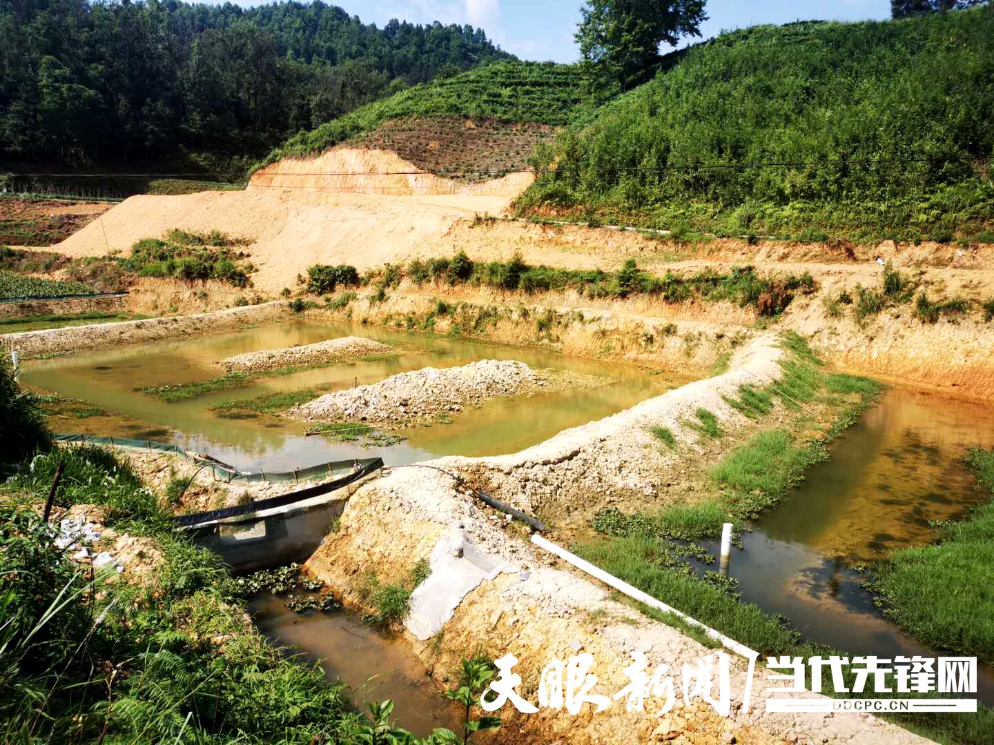 致富经龙虾养殖_致富经虾痴养好小龙虾_致富经小龙虾养殖技术