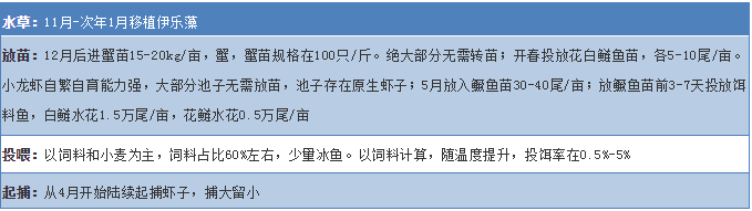 大龙虾养殖技术_龙虾养殖技术大全视频_龙虾养殖技术大全图片