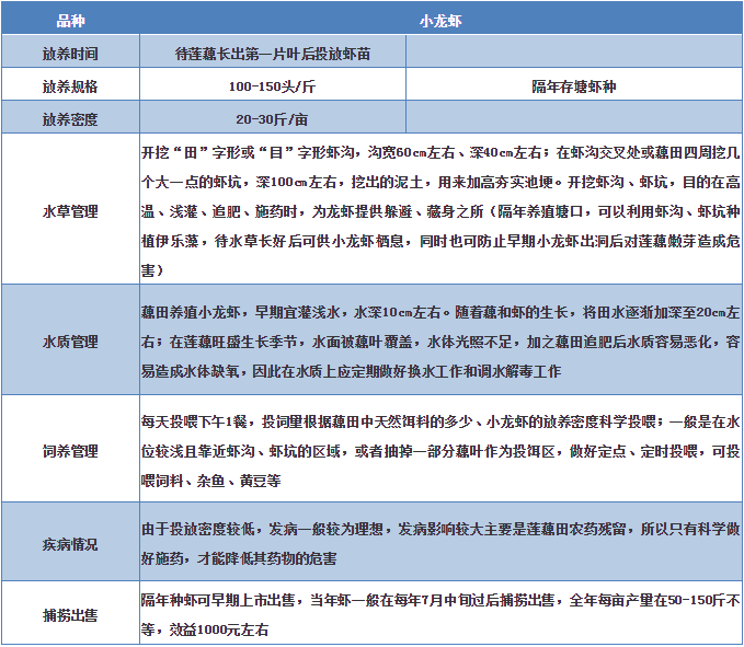 龙虾养殖技术大全视频_龙虾养殖技术大全图片_大龙虾养殖技术