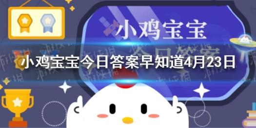 小鸡苗怎么弄