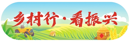 宁夏闽宁镇玉海村：老将携手新兵 共解致富密码