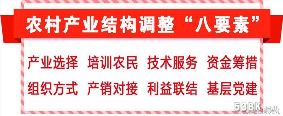 致富经折耳根种植_大面积折耳根种植技术视频_致富经折耳根种植方法