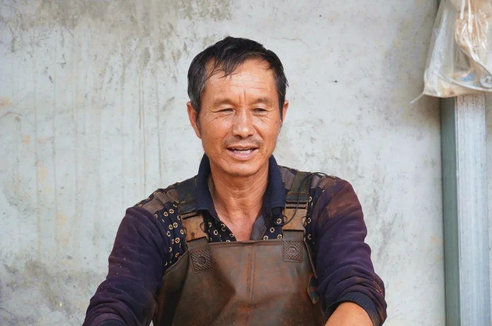 致富经折耳根种植方法_种植折耳根要多少成本_折耳根种植方法与技术视频