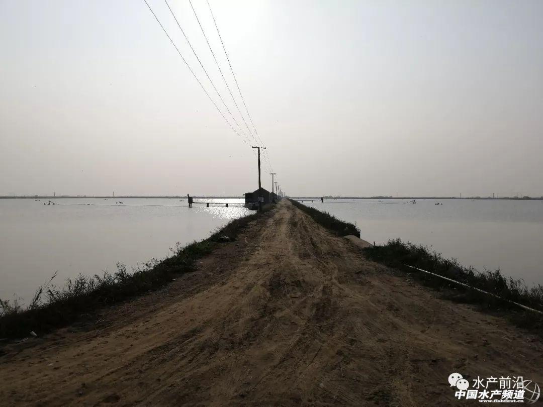 淡水养殖什么利润高_淡水养殖项目_淡水养殖致富渠道