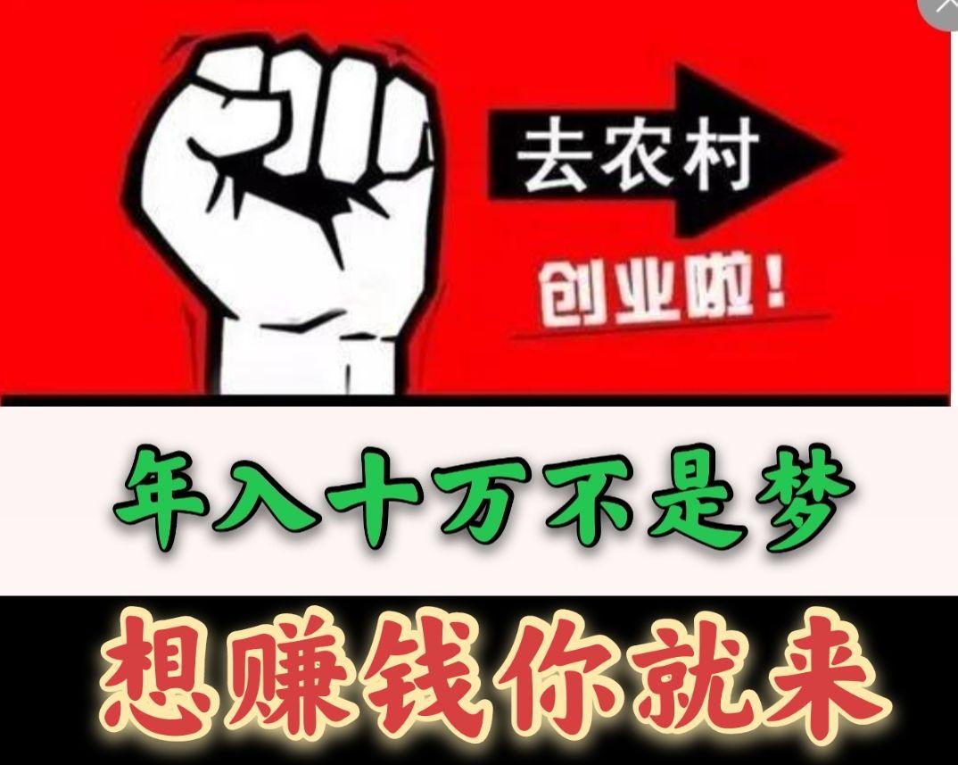 不怕吃苦，想快速致富的看过来，这些行业适合你