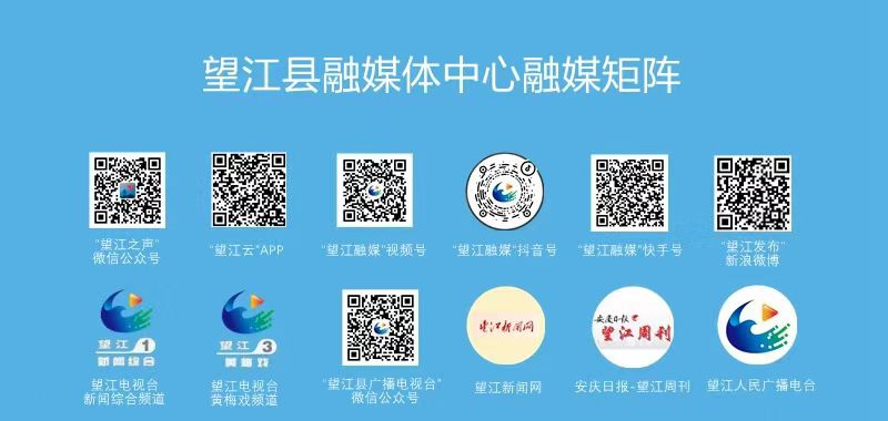 致富养殖稻田图片大全_稻田养殖致富_稻田养殖项目