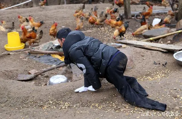 蚯蚓养殖致富_致富养殖蚯蚓怎么样_养殖蚯蚓赚钱吗