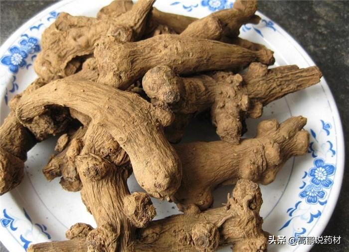 种植金蝉书花技术与管理_种植金蝉书花技术视频_金蝉花种植技术书