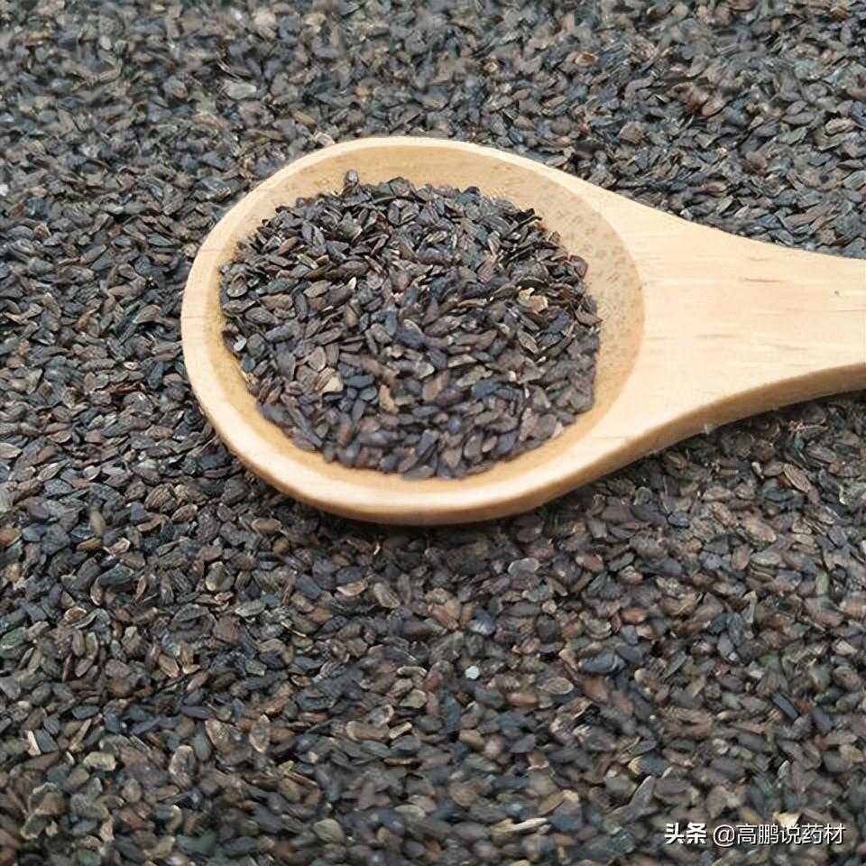 种植金蝉书花技术视频_种植金蝉书花技术与管理_金蝉花种植技术书