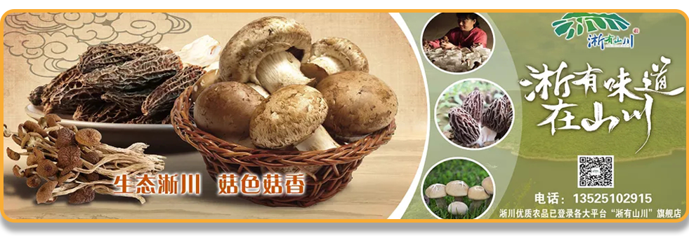 最新养殖黄粉虫致富_最新养殖黄粉虫致富_最新养殖黄粉虫致富