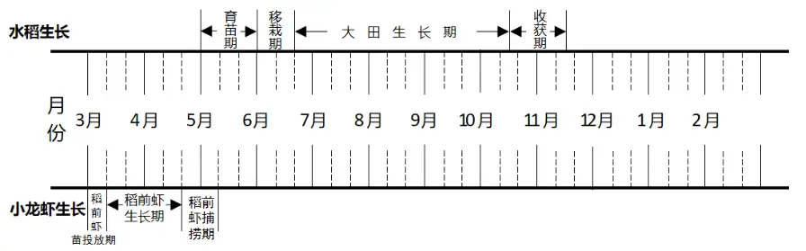 “一稻三虾”绿色高效生态种养模式与实操技术