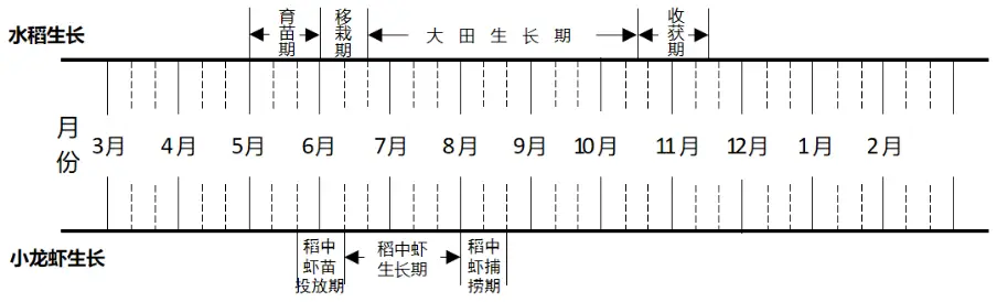 水稻地里养河蟹视频_稻田养殖河蟹技术视频_稻田养河蟹怎么养