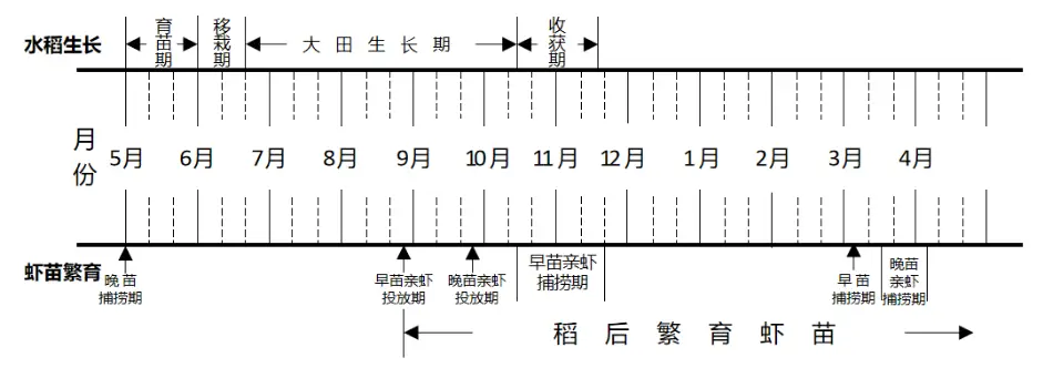 稻田养殖河蟹技术视频_水稻地里养河蟹视频_稻田养河蟹怎么养
