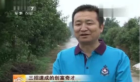 蜜蜂养殖视频致富经_致富经土蜜蜂养殖技术_蜜蜂土法养殖