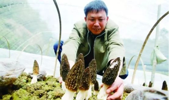 蜜蜂养殖视频致富经_蜜蜂土法养殖_致富经土蜜蜂养殖技术