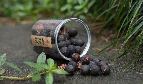 致富经土蜜蜂养殖技术_蜜蜂土法养殖_蜜蜂养殖视频致富经
