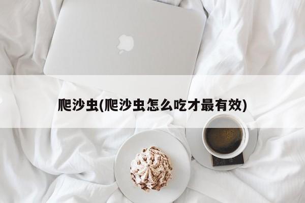 爬沙虫(爬沙虫怎么吃才最有效)