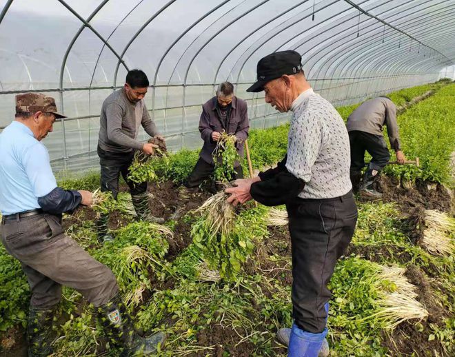 致富经青虾养殖视频_青虾养殖技术视频全集_视频致富养殖青虾是真的吗