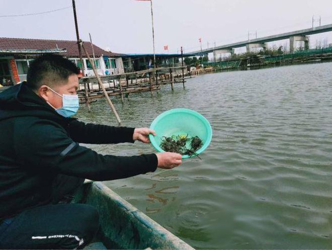 致富经青虾养殖视频_青虾养殖技术视频全集_视频致富养殖青虾是真的吗