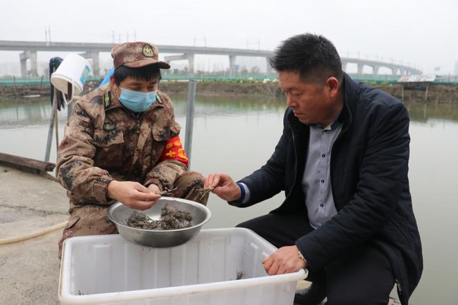致富经青虾养殖视频_青虾养殖技术视频全集_视频致富养殖青虾是真的吗