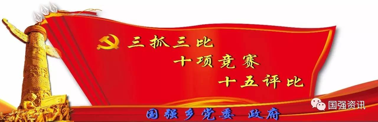 【十五评比•扶贫攻坚篇】国强乡调研珍珠鸡养殖产业  探索脱贫致富新的发展项目