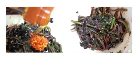 紫背天葵的种植方法和生长周期_紫背天葵种植致富经_致富种植紫背天葵好吗