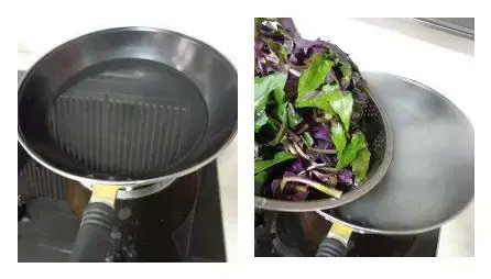 紫背天葵种植致富经_致富种植紫背天葵好吗_紫背天葵的种植方法和生长周期