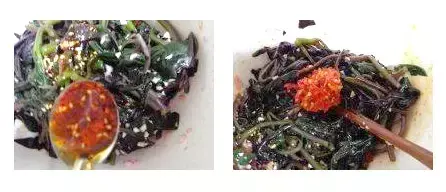 紫背天葵的种植方法和生长周期_致富种植紫背天葵好吗_紫背天葵种植致富经