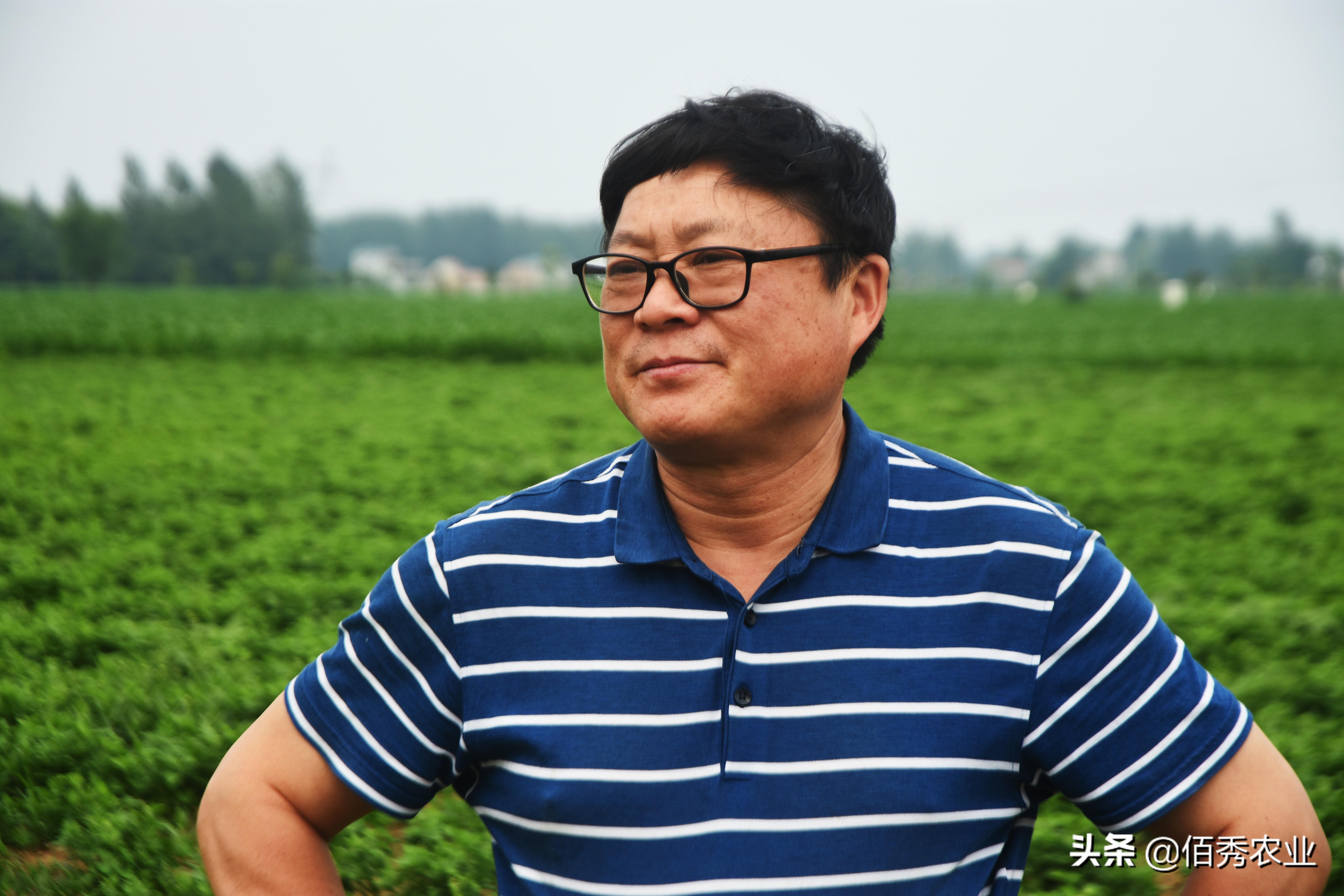 未来在农村创业，五类致富带头人会很吃香，看看你适合哪种？
