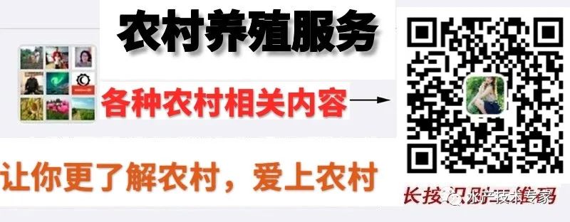 养殖致富手册_致富养殖信息_致富养殖好项目大全
