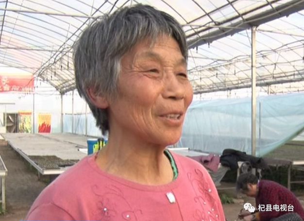 致富经无土栽培_致富经土元养殖_致富 无土养殖