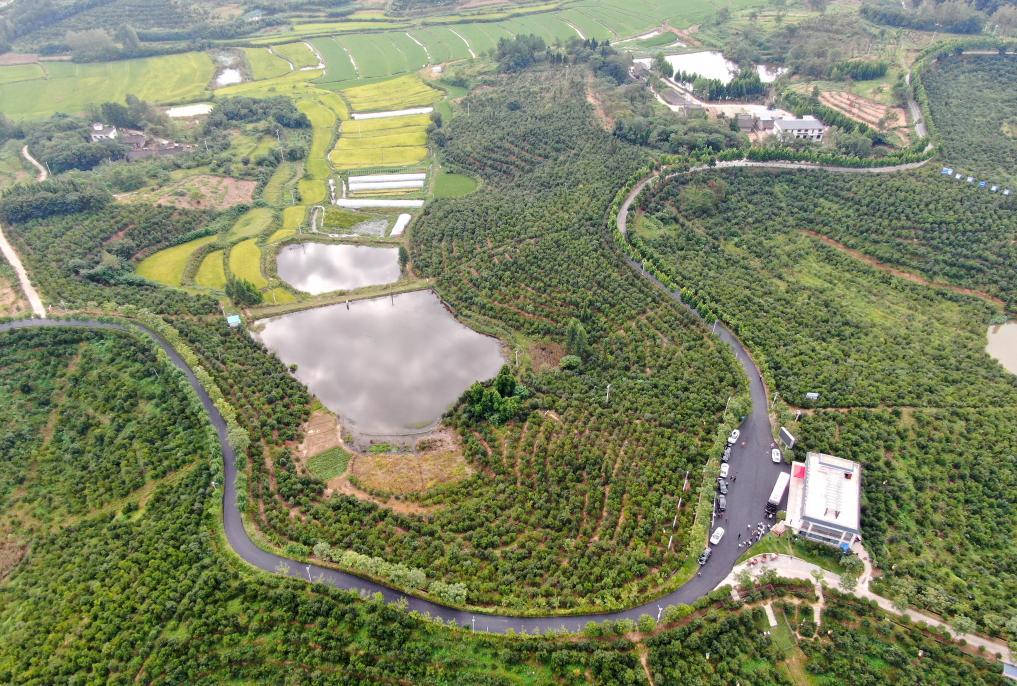 山东中旺养殖基地_山东致富经_山东中旺致富经