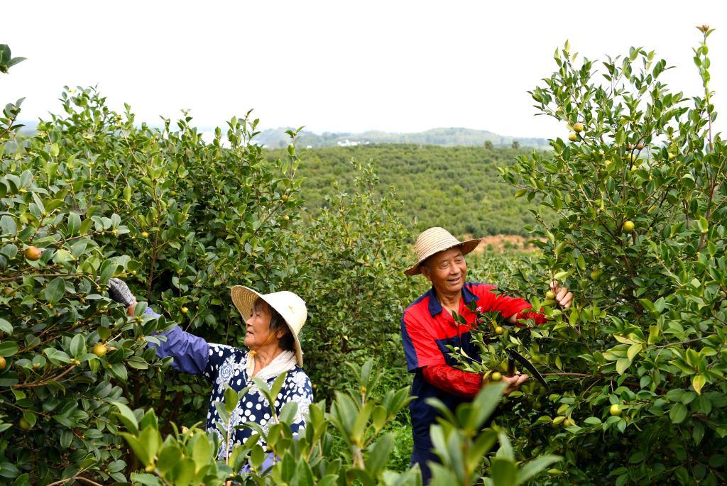 山东中旺致富经_山东致富经_山东中旺养殖基地