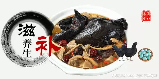 农业节目致富经养殖鸡视频_农场女靠养殖黑鸡致富_农村致富网养殖业养鸡
